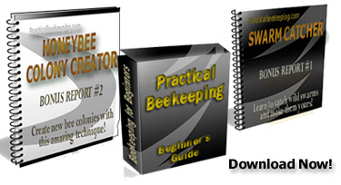 Practical Beekeeping bee book set
