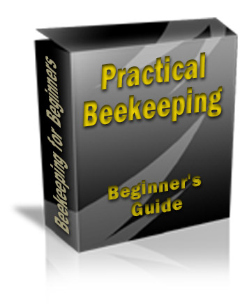 Practical Beekeeping - Beginners Guide