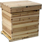 Langstroth Bee hive