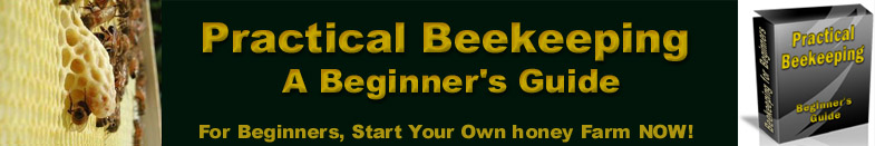 Bee banner Queen cell