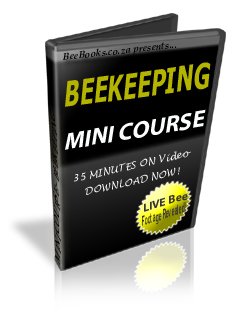 Beekeeping Mini Course Video