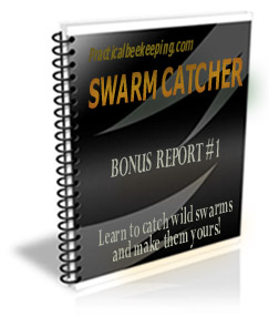 Swarm Catcher