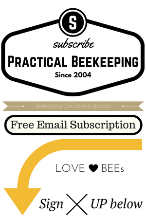 Bee Newsletters & Articles