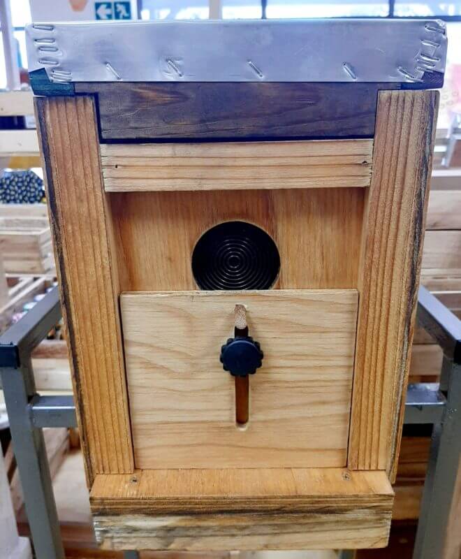 Catch box for attracting bees
