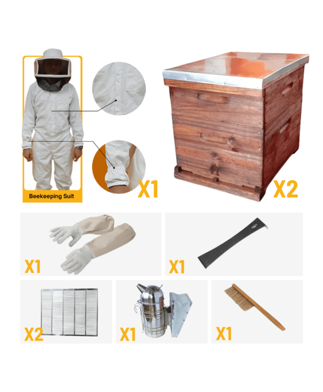 Beekeeping Starter Pack