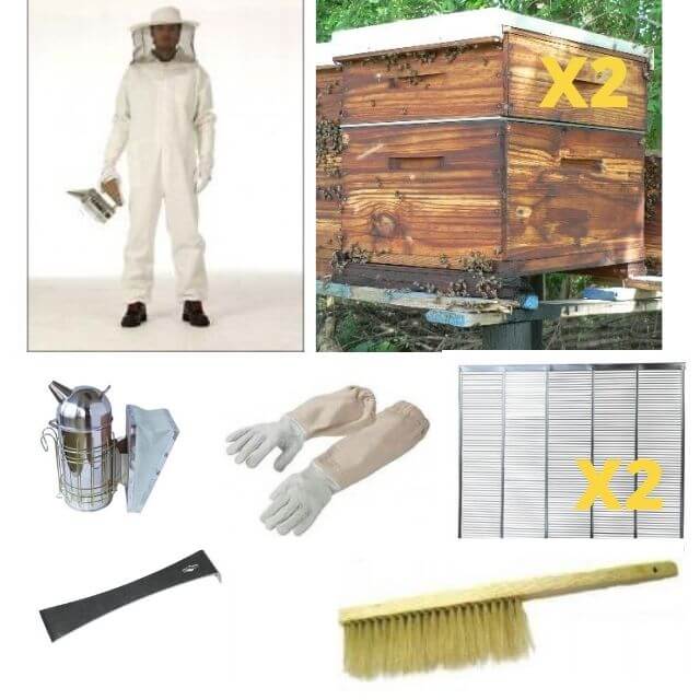 what beekeeping equipment do I need?