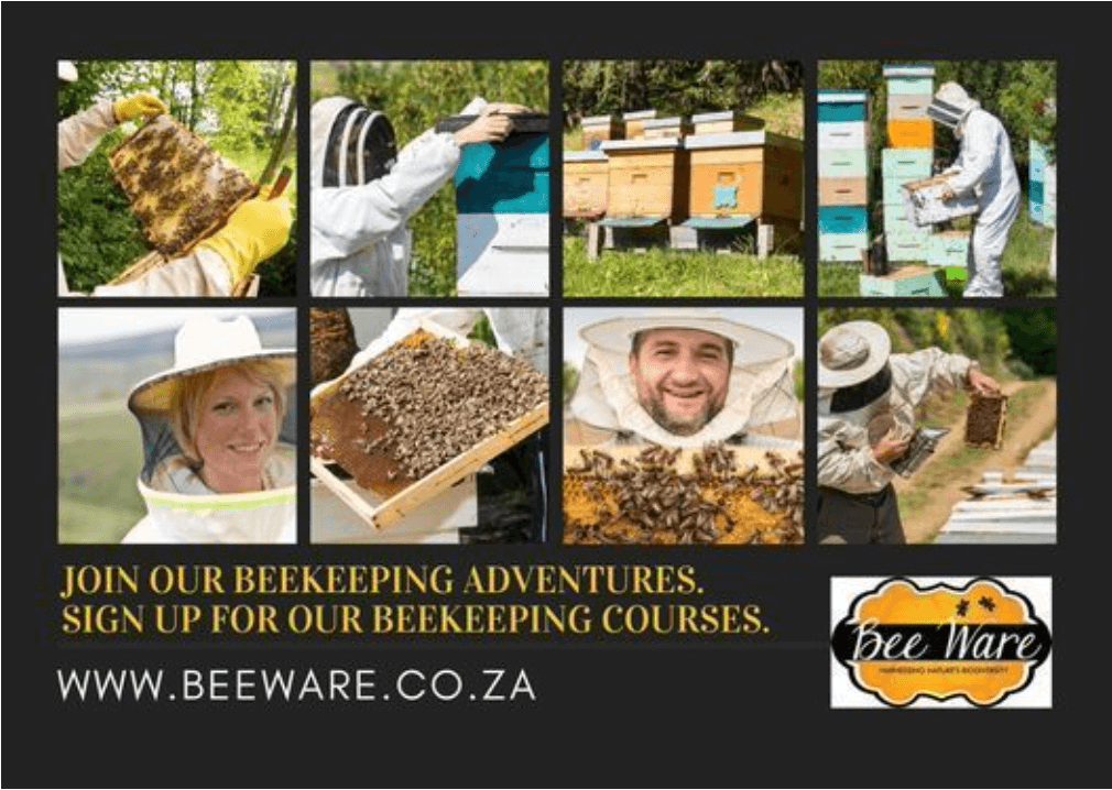 BeeWare - The Beekeeping Institute