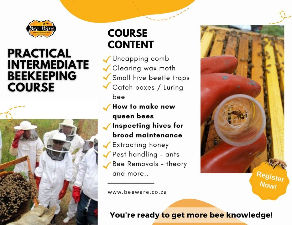 Practical Intermediate Beekeeping course