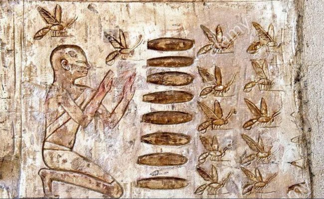 Where did beekeeping originate?