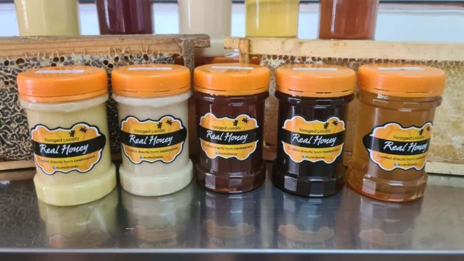 Beekeeping and honey production