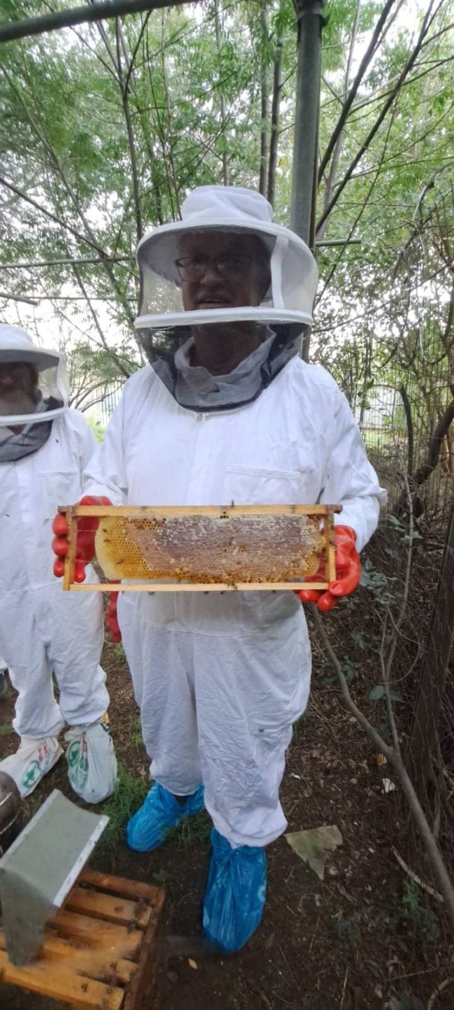 Can beekeeping be a hobby?