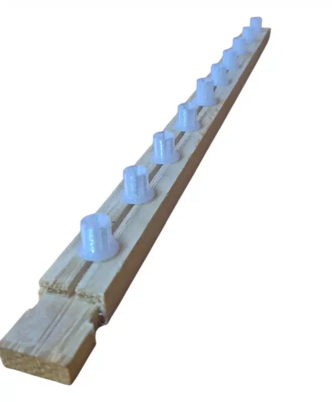 Queen Cell Cups & Top bar combo (10 Cups)